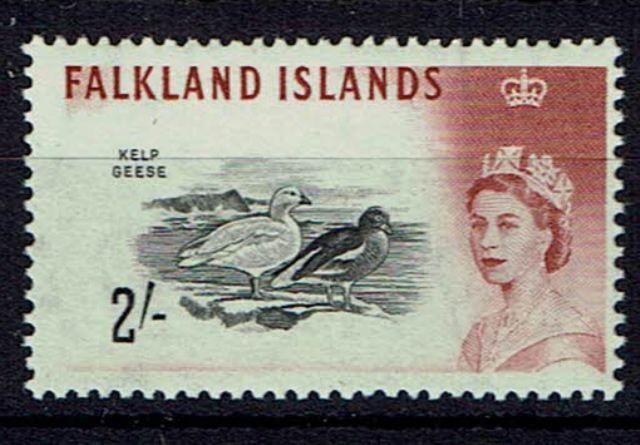 Image of Falkland Islands 204a UMM
